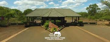 Meru National Park: A Hidden Gem in Kenya's Wilderness