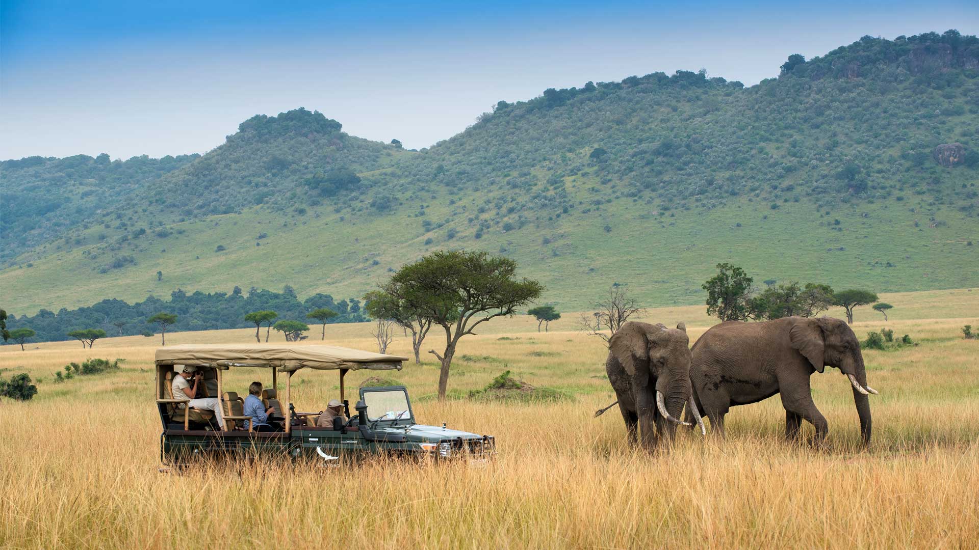 5-Day Safari Itineraries in Kenya for Wildlife Enthusiasts